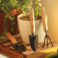 0541 Small sized Hand Cultivator, Small Trowel, Garden Fork (Set of 3) - 0.09 kgs, China
