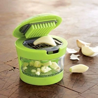 2108  Ginger Garlic Crusher for Kitchen - 0.125 kgs, India