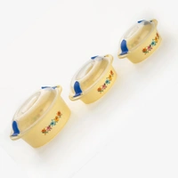 2162 Hot N Fresh Insulated Plastic Casserole Gift Set (3 Pieces) - 1.36 kgs, India