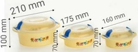 2162 Hot N Fresh Insulated Plastic Casserole Gift Set (3 Pieces) - 1.36 kgs, India