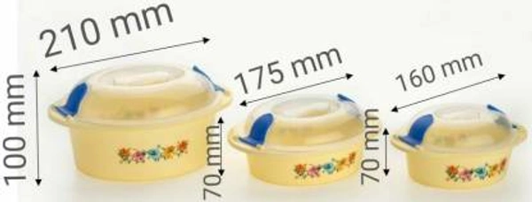 2162 Hot N Fresh Insulated Plastic Casserole Gift Set (3 Pieces) - 1.36 kgs, India