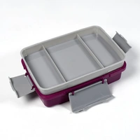 7174 LUNCH BOX 2 COMPARTMENT LUNCH BOX PLASTIC TIFFIN BOX FOR BOYS, GIRLS, SCHOOL & OFFICE - 0.382 kgs, INDIA