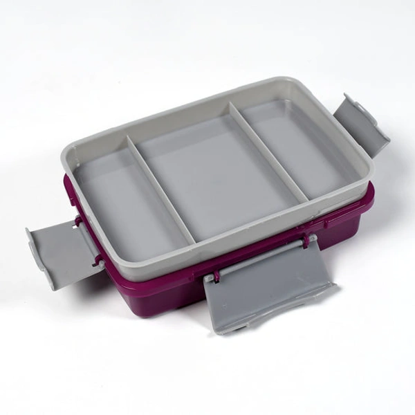 7174 LUNCH BOX 2 COMPARTMENT LUNCH BOX PLASTIC TIFFIN BOX FOR BOYS, GIRLS, SCHOOL & OFFICE - 0.382 kgs, INDIA