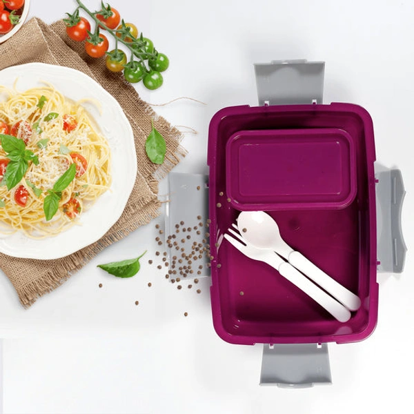 7174 LUNCH BOX 2 COMPARTMENT LUNCH BOX PLASTIC TIFFIN BOX FOR BOYS, GIRLS, SCHOOL & OFFICE - 0.382 kgs, INDIA