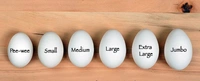 English JUMBO ( Set Of 30 Eggs)