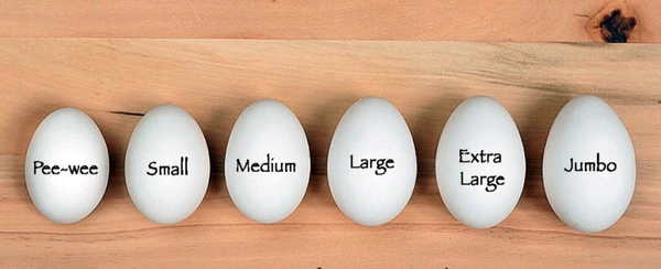 English JUMBO ( Set Of 30 Eggs)