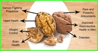 AKHROT (CALIFORNIA) Premium Walnut Without Shell, Akhrot Giri ( 1 KG )