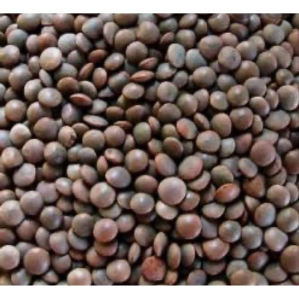 AKKHA MASOOR DAL ( 1_KG )