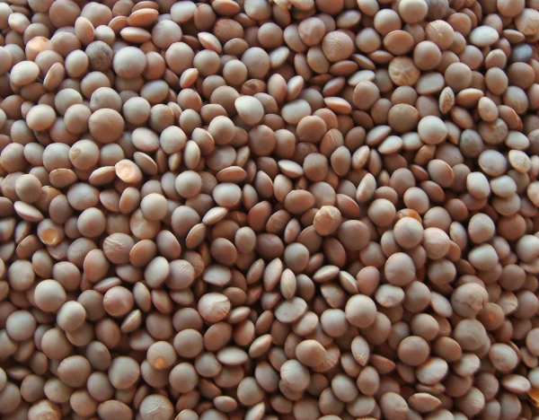 AKKHA MASOOR DAL ( 1_KG )
