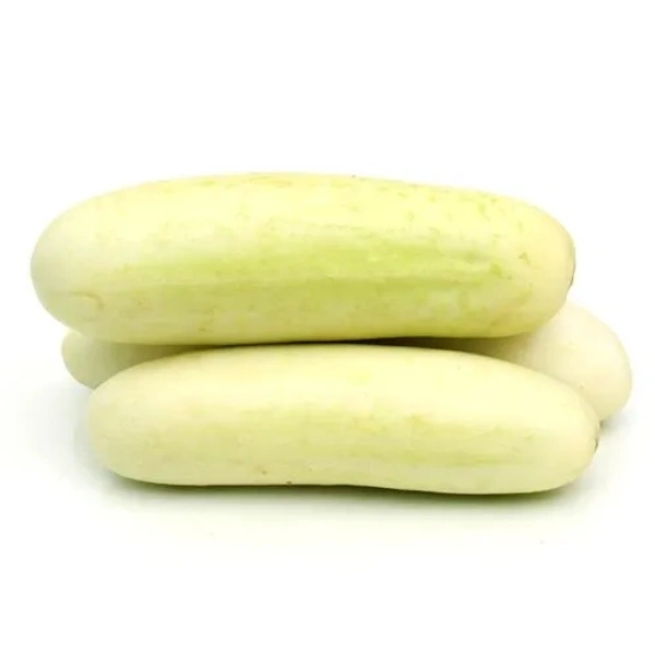 White Cucumber (Pandhri Kakdi) - 1 Kg