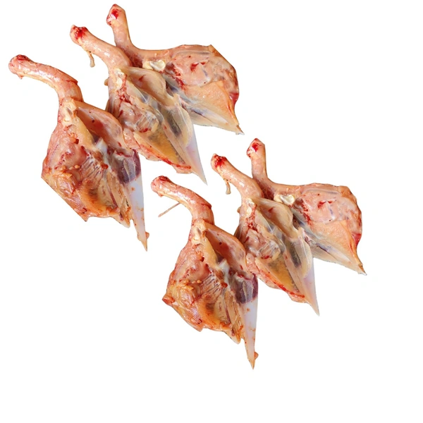 Broiler Kadi Piece - Chicken Bone (Haddi Wala)  - 1_Kg