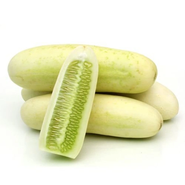White Cucumber (Pandhri Kakdi) - 1 Kg