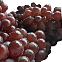Grapes - Red (Globe)/Angoor Imported - 1 Kg