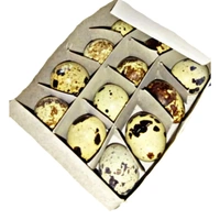 Quail EGGS - 12 Pcs