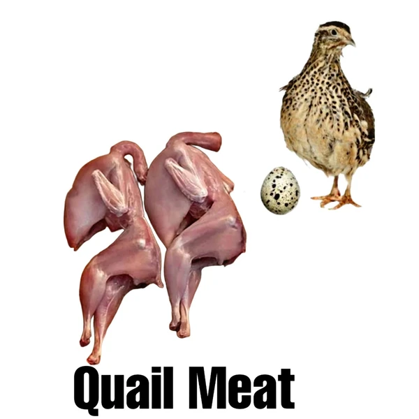 Quail Meat 