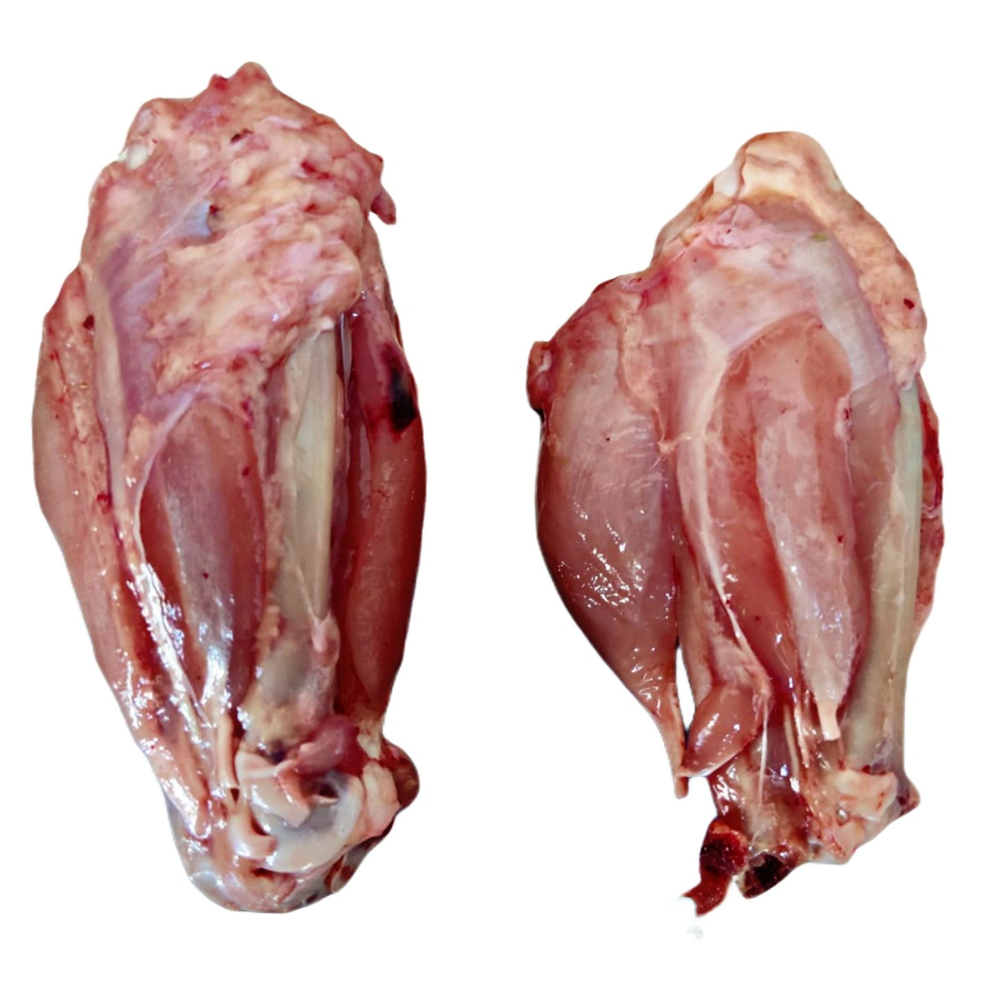 Chicken Wings Cut Fresh