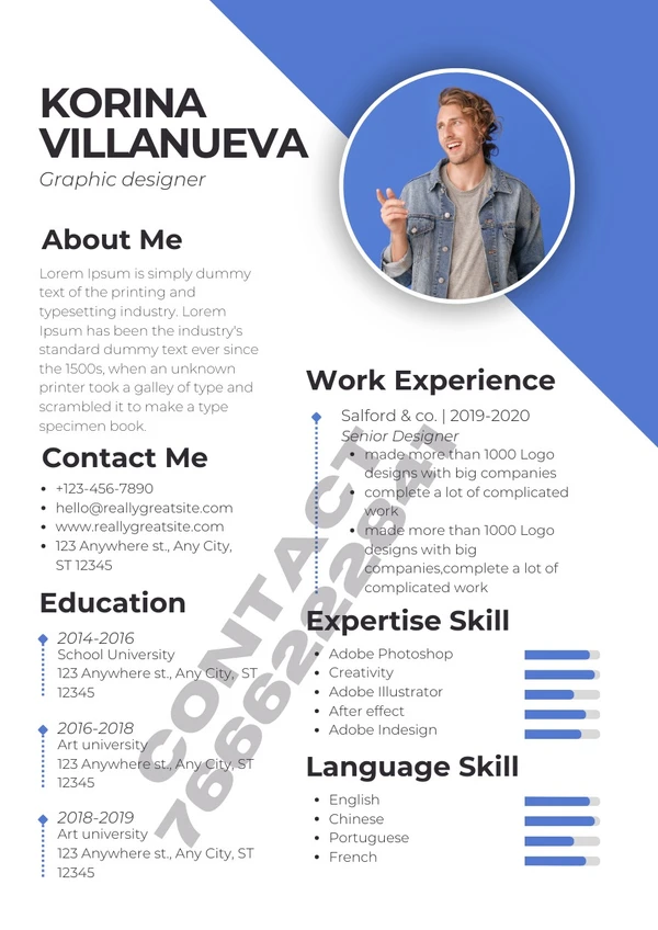 Professional Resume 