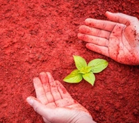  RED SOIL for Gardening Soil  (20 kg, Powder) - RED