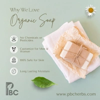 Aloe Shea Butter Soap ( Deep Moisturizing Soap ) - 75g - 2 Soap ( Offer % )