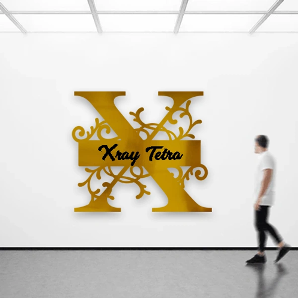 X - 12x12" Inch Monochrome Acrylic Letter