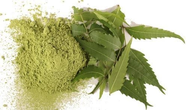 Maddi Neem Leaf Churna 100g