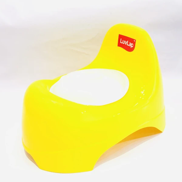 Baby potty seat