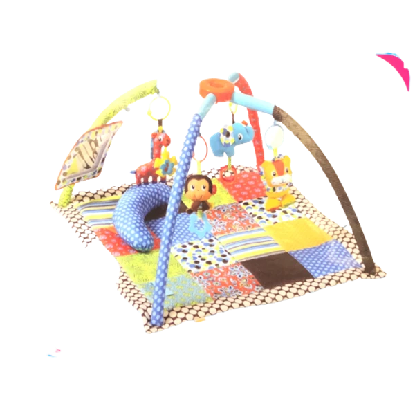 Baby Play gym