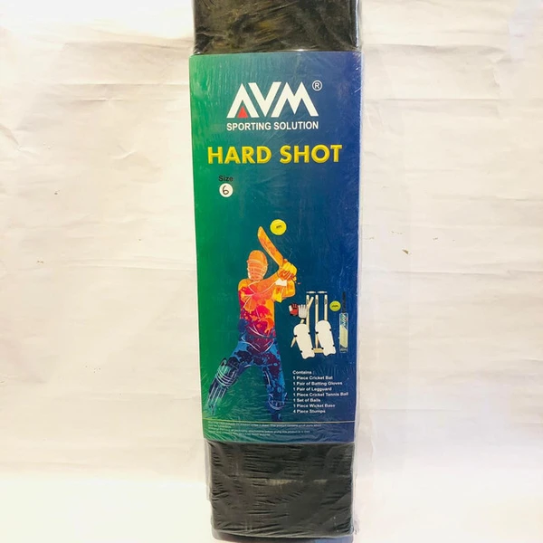 AVM hard shot cricket set