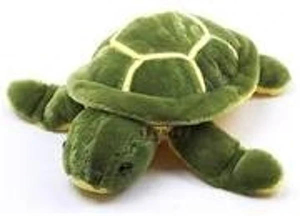 Turtle Big