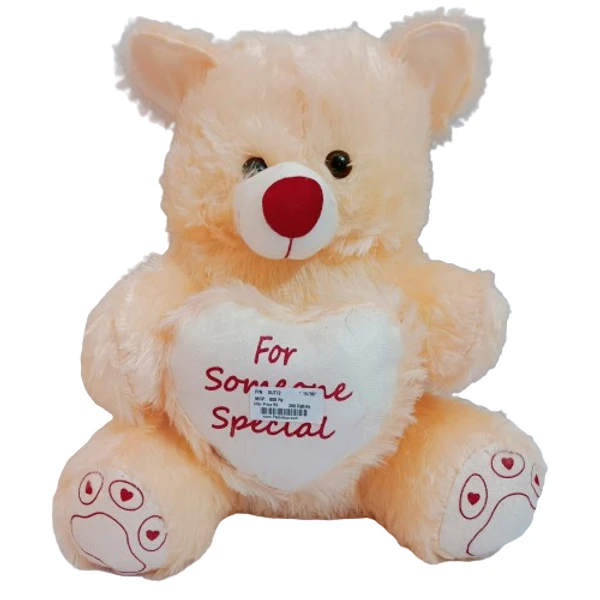 Teddy For Someone Special  - Cream