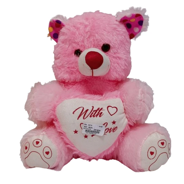 Teddy For Someone Special  - Pink