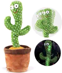 Dancing Cactus
