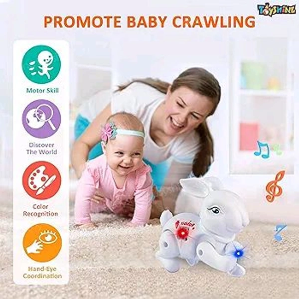 Rabbit Light Music Toys 