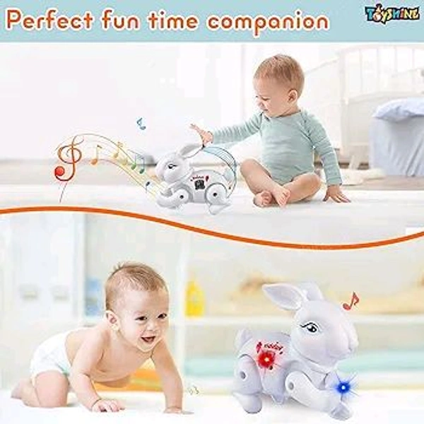 Rabbit Light Music Toys 