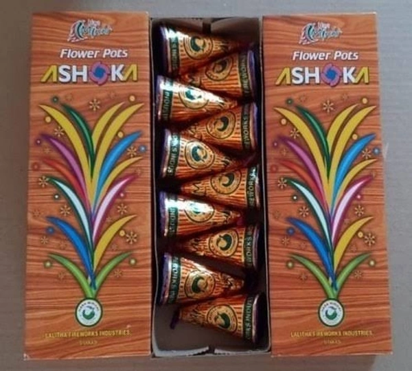 Flower Pots Ashoka