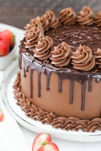Chocolate Cake - Brown, Large