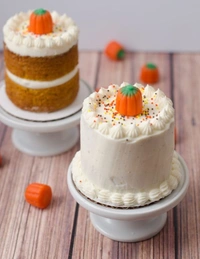 Miniature Cake  - Multi Color, Small