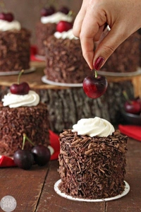 Miniature Cake  - Multi Color, Small