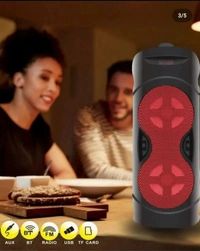 Rock Music Bt Speaker With Mic - Maroon, 3 Months Warranty