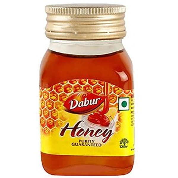 DABUR HONEY - 100g