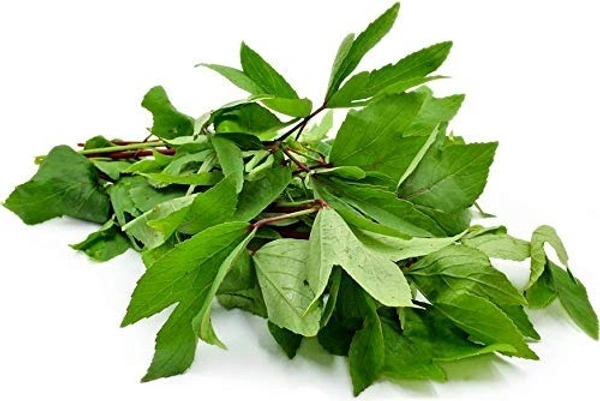 Ambadi Bunch - Gongura Bunch - (1bunch)
