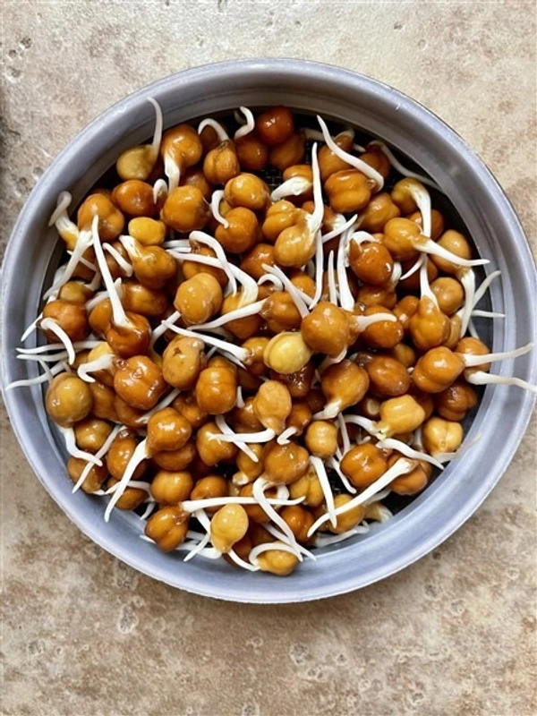 Chana Sprouts - चना अंकुरित (Chana Ankurit) - (250g)