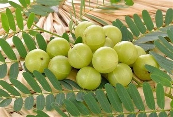 Amla / Avla / Gooseberry - (250g)
