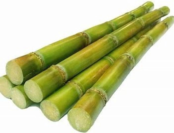 Fresh Sugarcane | Sweet & Juicy - 2pieces (1feet each)