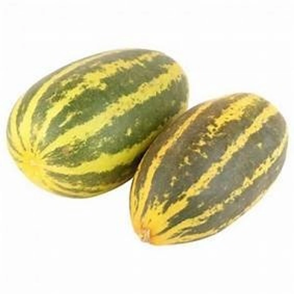 Mangalore Cucumber - Manglore Kakdi - Taushe - 1pc (Approx 500gm-900gm)