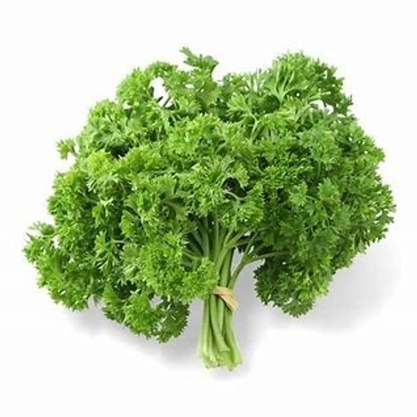 Parsley - Parsley Patta - Parsley Patta (पार्सली पत्ता 125g) - (125gm)