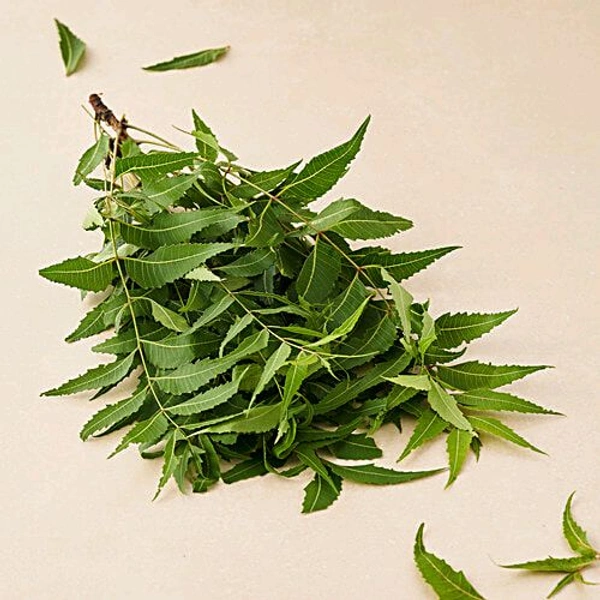 Neem Leaves - Neem Patta - (250gm)