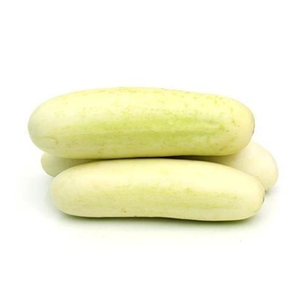 White Cucumber - Safed Kheera - Pandhara Kakdi - (500gm)