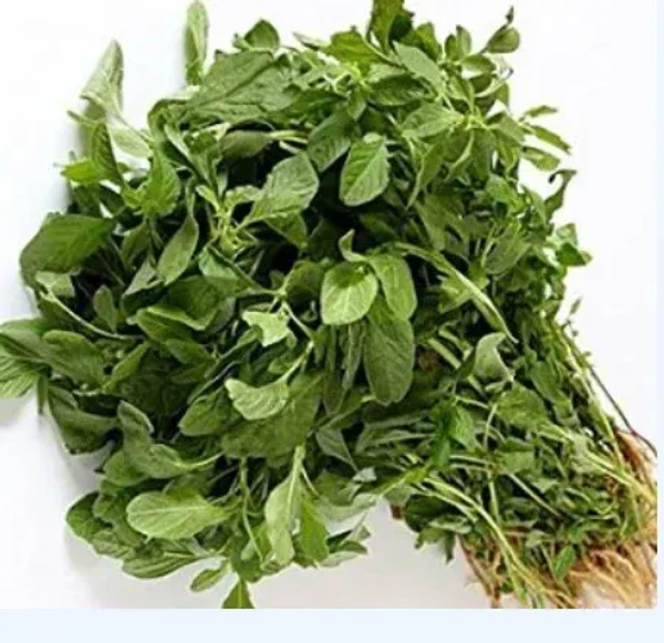 Amaranth Leaves (चौली पत्ता) - (1bunch)