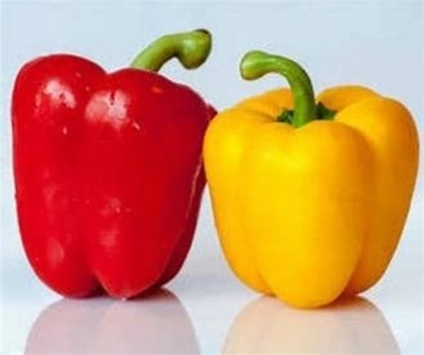 Bell Pepper Pair (Red Yellow Shimla Mirch Jodi) β